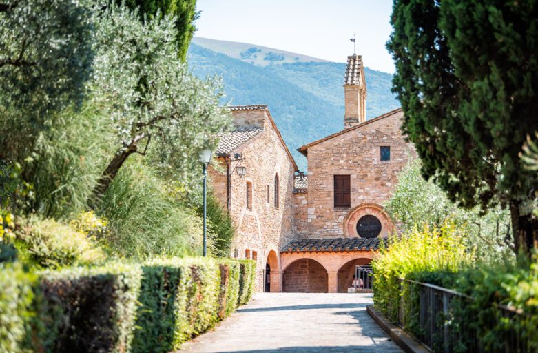 Vista della stradina di arrivo alla chiesa di San Damiano. La strada eè fiancheggiata da siepi, sullo sfondo è visibile la struttura.