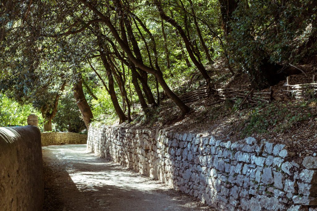 Vista del sentiero per andare all'Eremo delle Carceri, nel cuore dei boschi umbri.