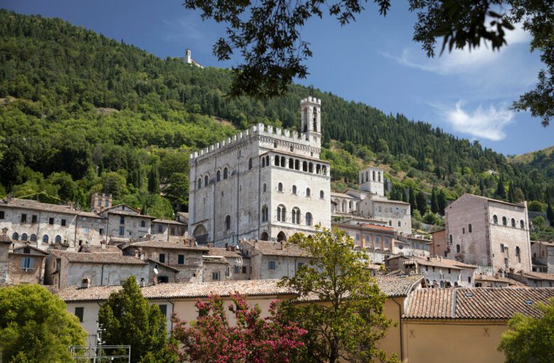 Vista panoramica di Palazzo dei Consoli, incorniciato da rami in primo piano e con i boschi eugubini sullo sfondo.