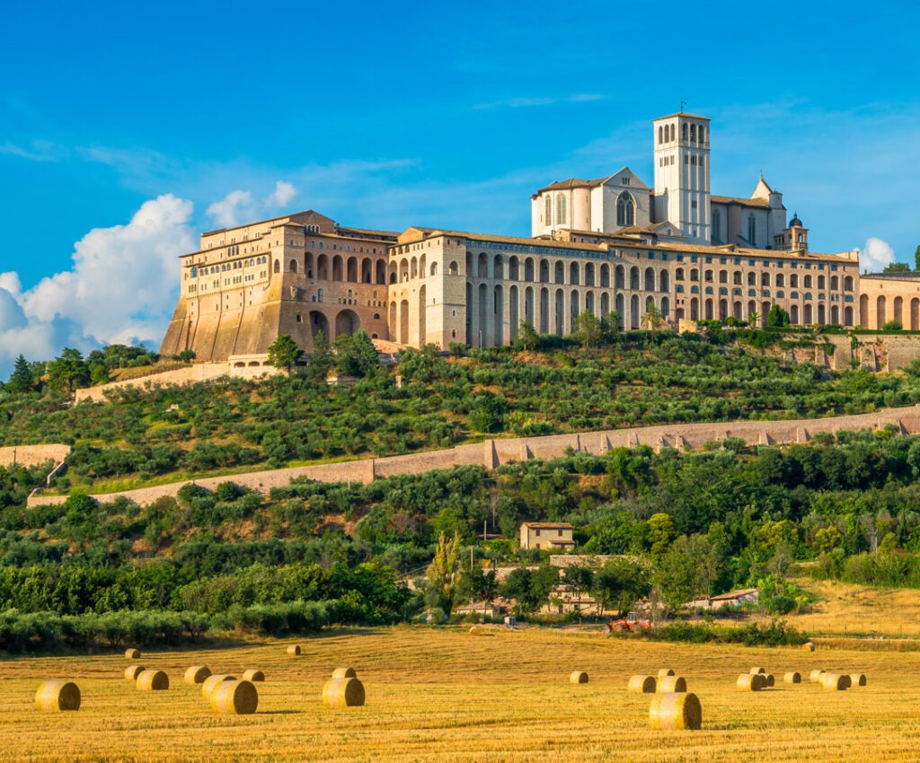 Vista panoramica di Assisi e della Basilica di San Francesco dai campi sottostanti. Dal basso verso l’alto: campi di grano gialli, vegetazione e boschi verdi, Assisi in pietra bianca rosata, e cielo azzurro.