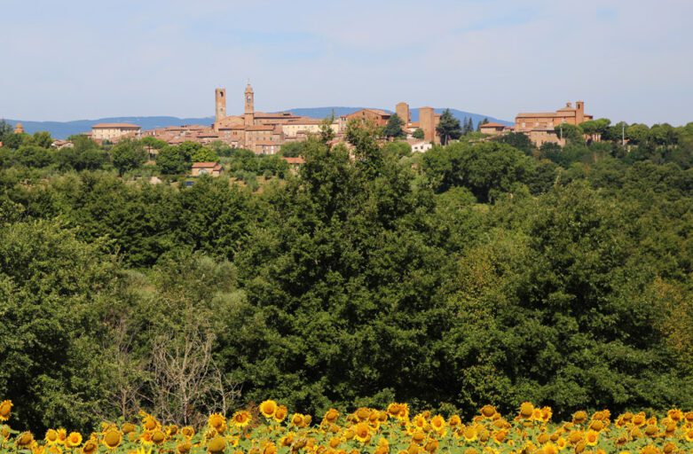 Città della Pieve: vista panoramica con campo di girasoli in basso, salendo verso un bosco dal quale si erge in lontananza Città della Pieve sormontata dal cielo azzurro.