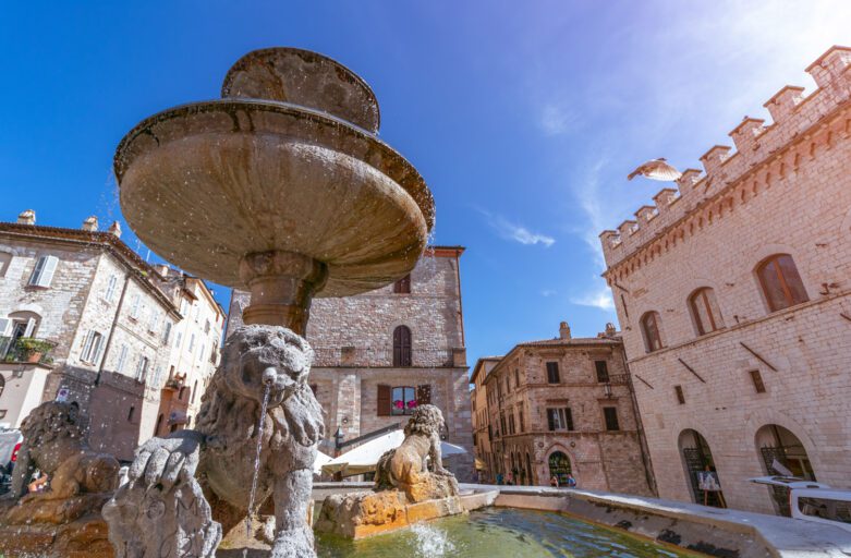 Vista ravvicinata della fontana dei 3 leoni di assisi. In primo piano un leone dalla cui bocca esce uno zampillo d'acqua. Dietro il leone le vasche della fontana e parte della piazza sul fondo.