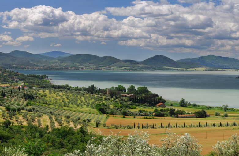 Panorama del Lago Trasimeno. In primo piano campi e oliveti immersi nel verde. Dalla destra dell'immagine si spingono verso il centro le acque del lago, circondate sullo sfondo da monti e colline verdi.