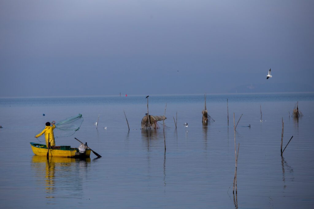 Alla sinistra dell'immagine un pescatore vestito di giallo, sulla sua piccola barca gialla, lancia una rete da pesca nelle acque del lago. Sulla destra emergono dalle acque i pali in legno alle quali le reti da pesca vengono fissate, molto frequentati dagli uccelli del Lago Trasimeno che sanno di poter trovare in quei luoghi grande abbondanza di cibo.