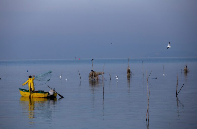 Alla sinistra dell'immagine un pescatore vestito di giallo, sulla sua piccola barca gialla, lancia una rete da pesca nelle acque del lago. Sulla destra emergono dalle acque i pali in legno alle quali le reti da pesca vengono fissate, molto frequentati dagli uccelli del Lago Trasimeno che sanno di poter trovare in quei luoghi grande abbondanza di cibo.
