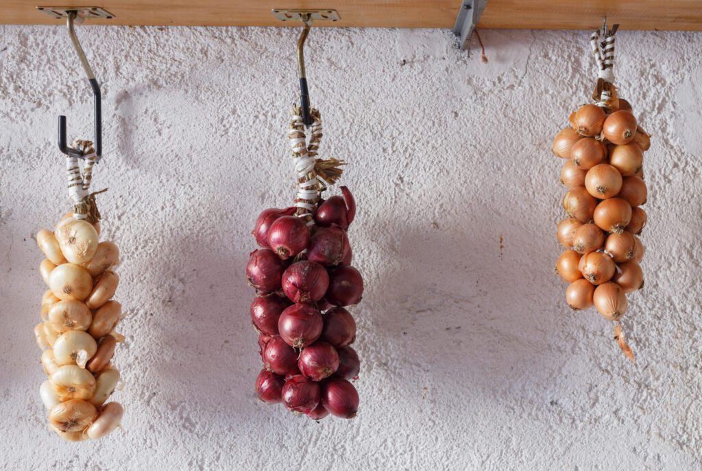 trecce di cipolle di Cannara appese a dei ganci di metallo. Da sinistra verso destra, ci sono tre varietà di cipolle: borettana, rossa e dorata.