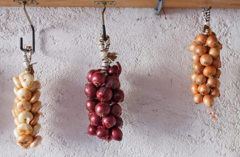 trecce di cipolle di Cannara appese a dei ganci di metallo. Da sinistra verso destra, ci sono tre varietà di cipolle: borettana, rossa e dorata.