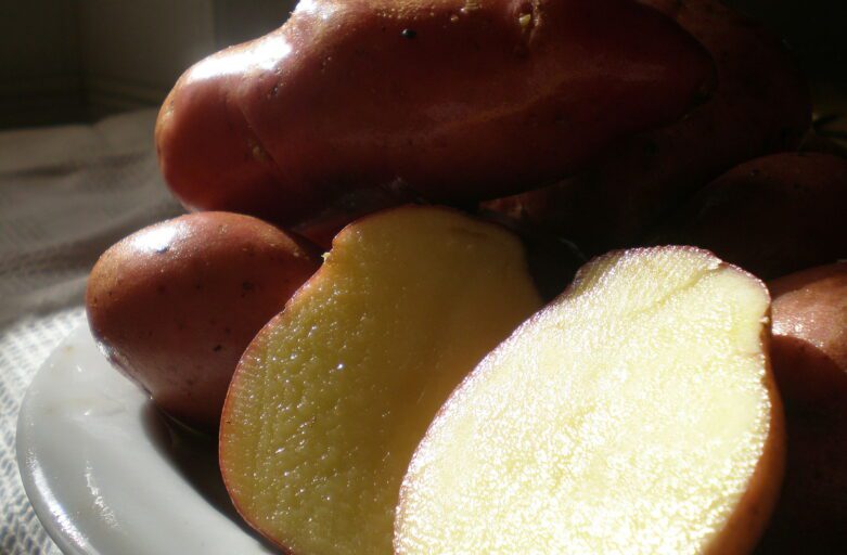 Red Potato IGP: the core product of Colfiorito