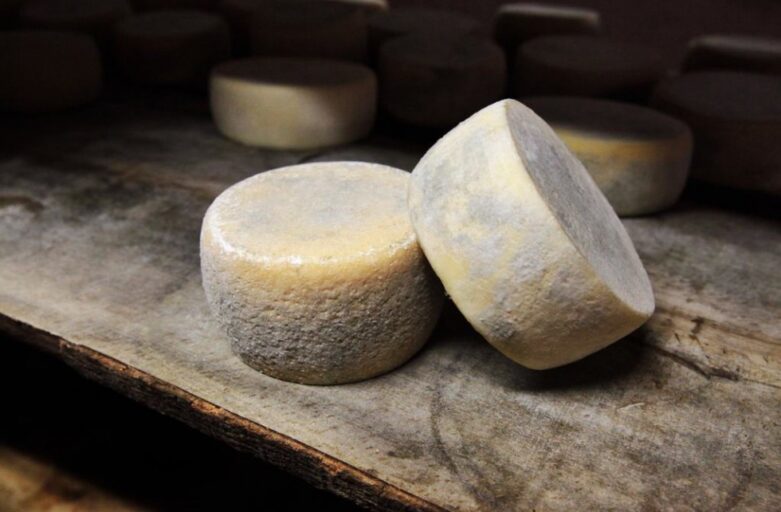 side view of a wooden shelf where Tuscan pecorino cheese wheels are placed.