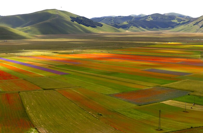 immagine panoramica della piana di castelluccio di norcia durante la fioritura. In primo piano, il Pian Grande coperto di fiori di tutti i colori. Sullo sfondo, il Pian Piccolo e i Monti Sibillini che circondano la Piana.