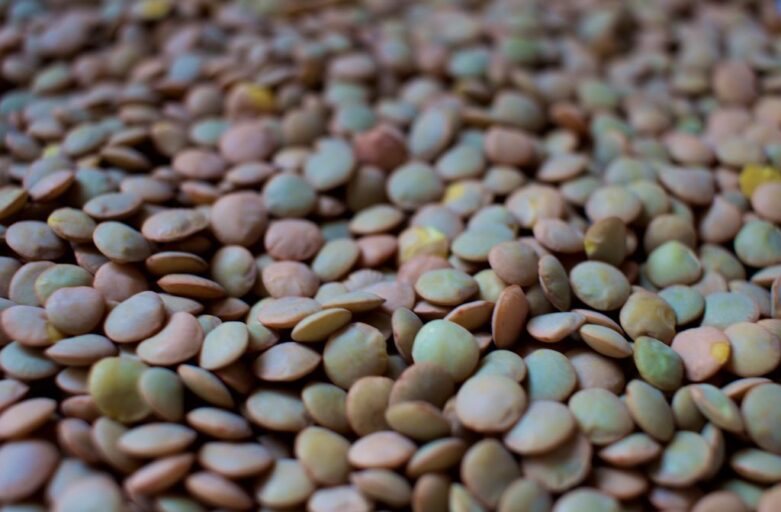 Close-up shot of lentil grains. The grains are of many colours ranging.