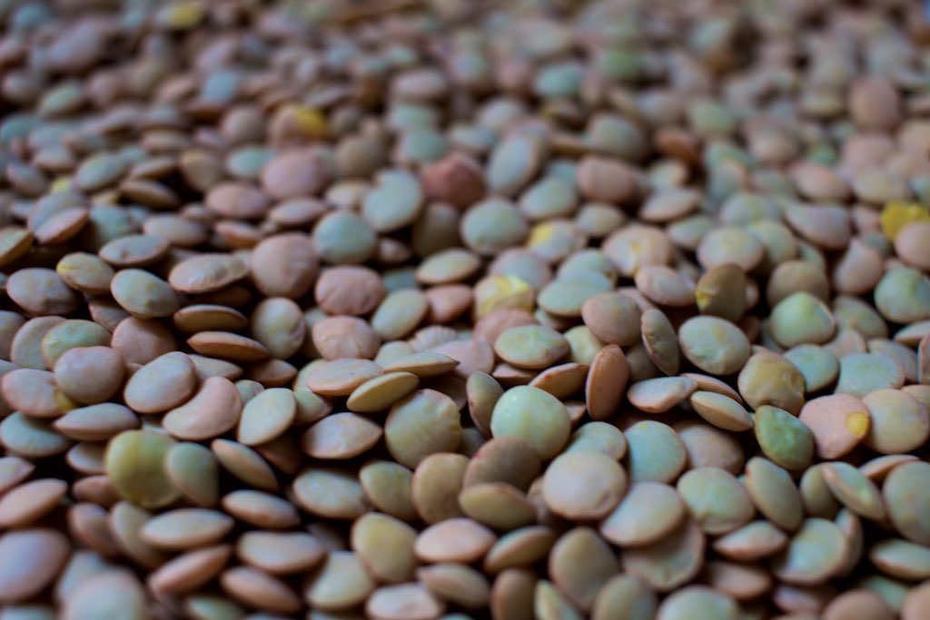 Close-up shot of lentil grains. The grains are of many colours ranging.