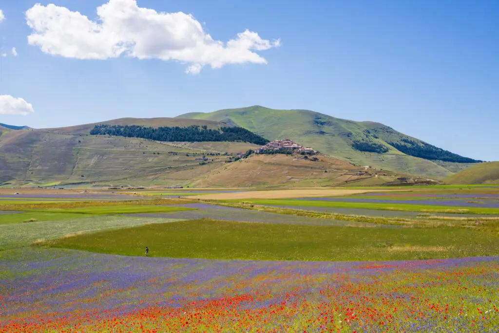 veduta dalla piana di Castelluccio di Norcia. In primo piano ci sono campi fioriti. Al centro dell’immagine in lontananza c’è il paese di Castelluccio di Norcia, posto in cima a un colle che si eleva sulla Piana di Castelluccio, un altopiano inserito all’interno del Parco Nazionale dei Monti Sibillini.