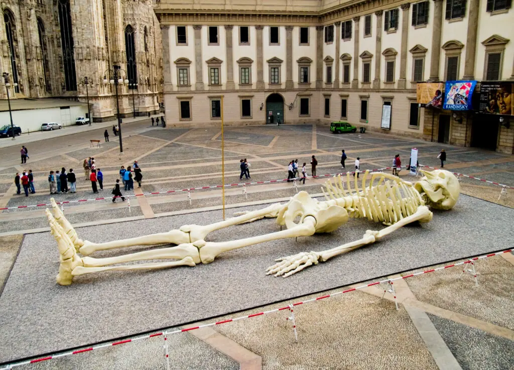 inquadratura dall’alto laterale sull’opera “Calamita Cosmica” esposta in Piazzetta Duomo a Milano. L’opera è una grande statua a forma di scheletro umano ma con il becco da uccello, alta 24 metri. È adagiata sul pavimento della Piazzetta Duomo e lo spazio in cui è esposta l’opera è delimitato da un nastro. Sul lato destro dell’immagine, si intravedono le pareti con finestre di un palazzo, mentre sul lato sinistro si intravede una parte del Duomo di Milano. Alcuni turisti stanno passeggiando attorno alla statua.