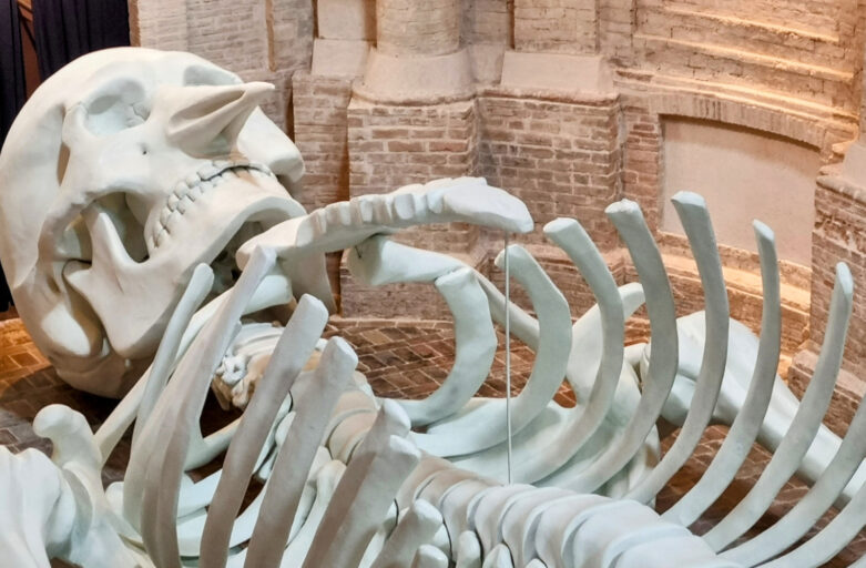 Foto dall’alto della parte superiore dello scheletro della Calamita Cosmica che include la testa e la cassa toracica. Lo scheletro realizzato è identico a quello di una figura umana, ma con la particolarità di avere il becco di uccello al posto del naso.