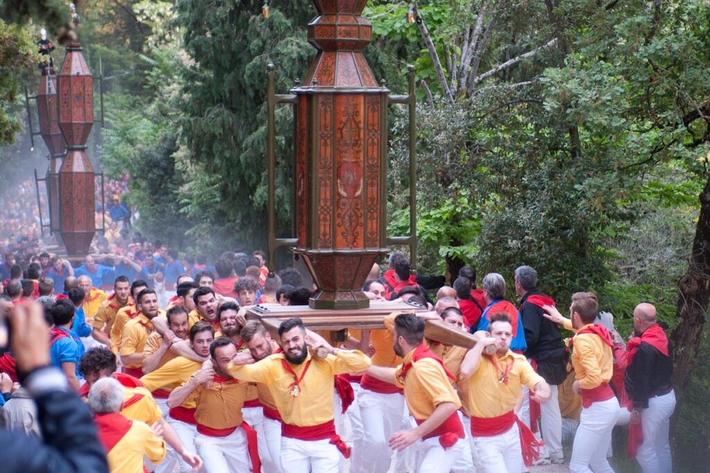 Foto che raffigura un momento durante la corsa dei ceri. I tre ceri sono disposti in fila uno dietro l’altro trasportati sulle spalle dai ceraioli in una strada circondata da alberi.