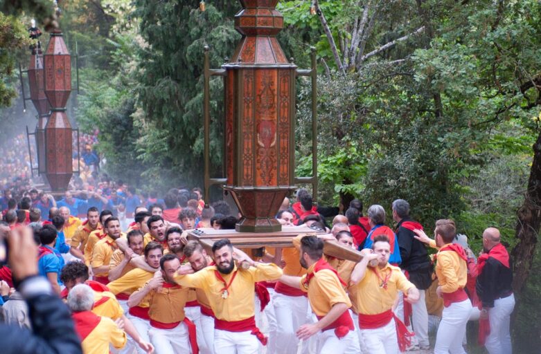 Foto che raffigura un momento durante la corsa dei ceri. I tre ceri sono disposti in fila uno dietro l’altro trasportati sulle spalle dai ceraioli in una strada circondata da alberi.