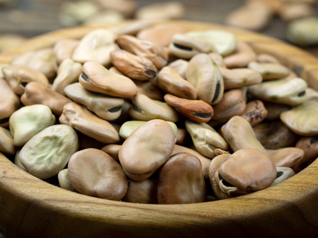 Dried broad beans from the Amerino area (between Terni, Amelia and Orvieto), collected inside a wooden bowl.