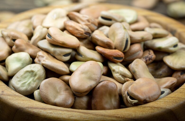 Dried broad beans from the Amerino area (between Terni, Amelia and Orvieto), collected inside a wooden bowl.